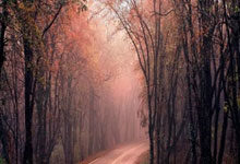 开云体育入口-卡尔蒂斯中场控制加强，争取比赛主动权