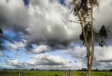 开云体育入口-卡尔蒂斯中场控制加强，争取比赛主动权