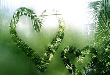 开云APP-汗水铸就勋章：平凡日夜里的非凡突破