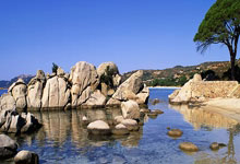 开云体育入口-谢菲联客场败阵，保级前景堪忧