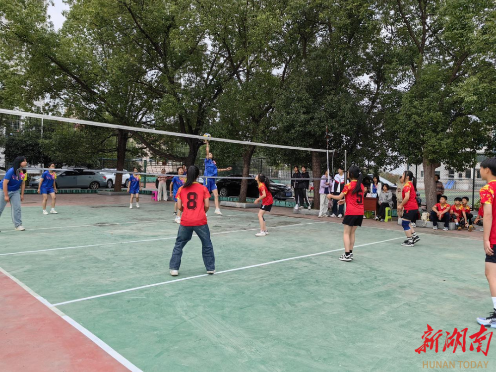 开云体育中国-球赛收官场面壮观扣人心弦展现实力的简单介绍