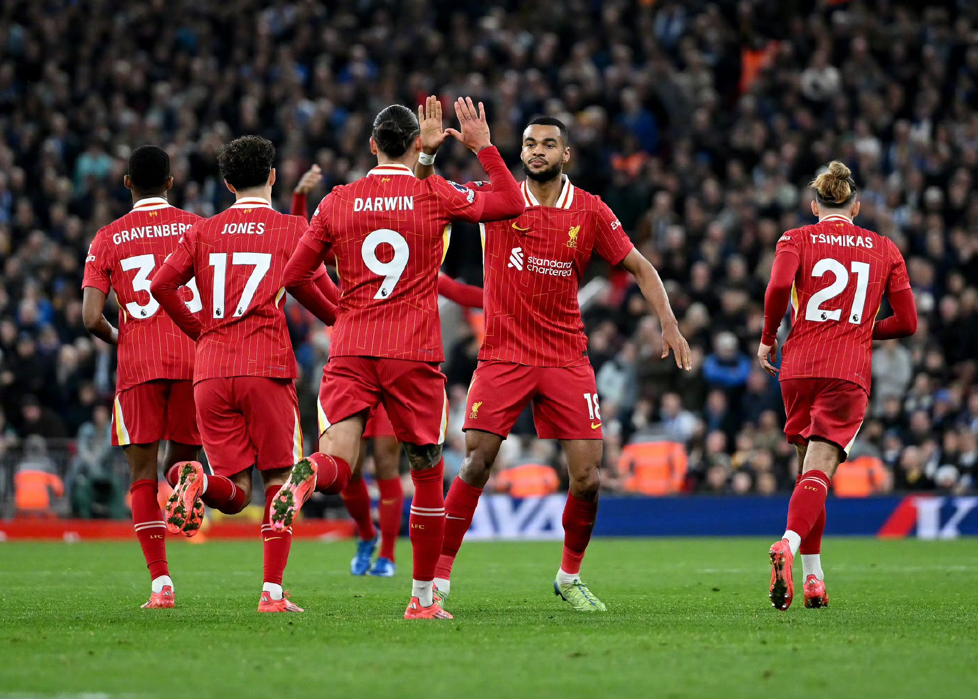 布赖顿客场胜出，球队状态回勇