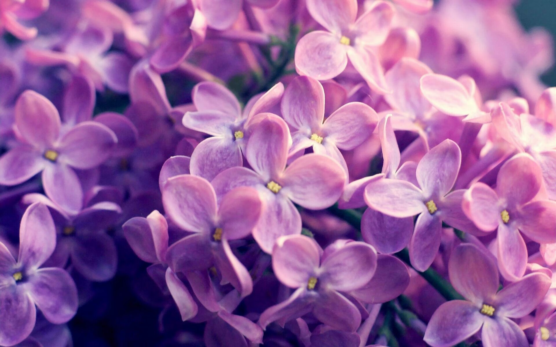 开云体育中国-神兵天降！巴雷拉关键节点连续得分，丹麦绝境逆转塞维利亚