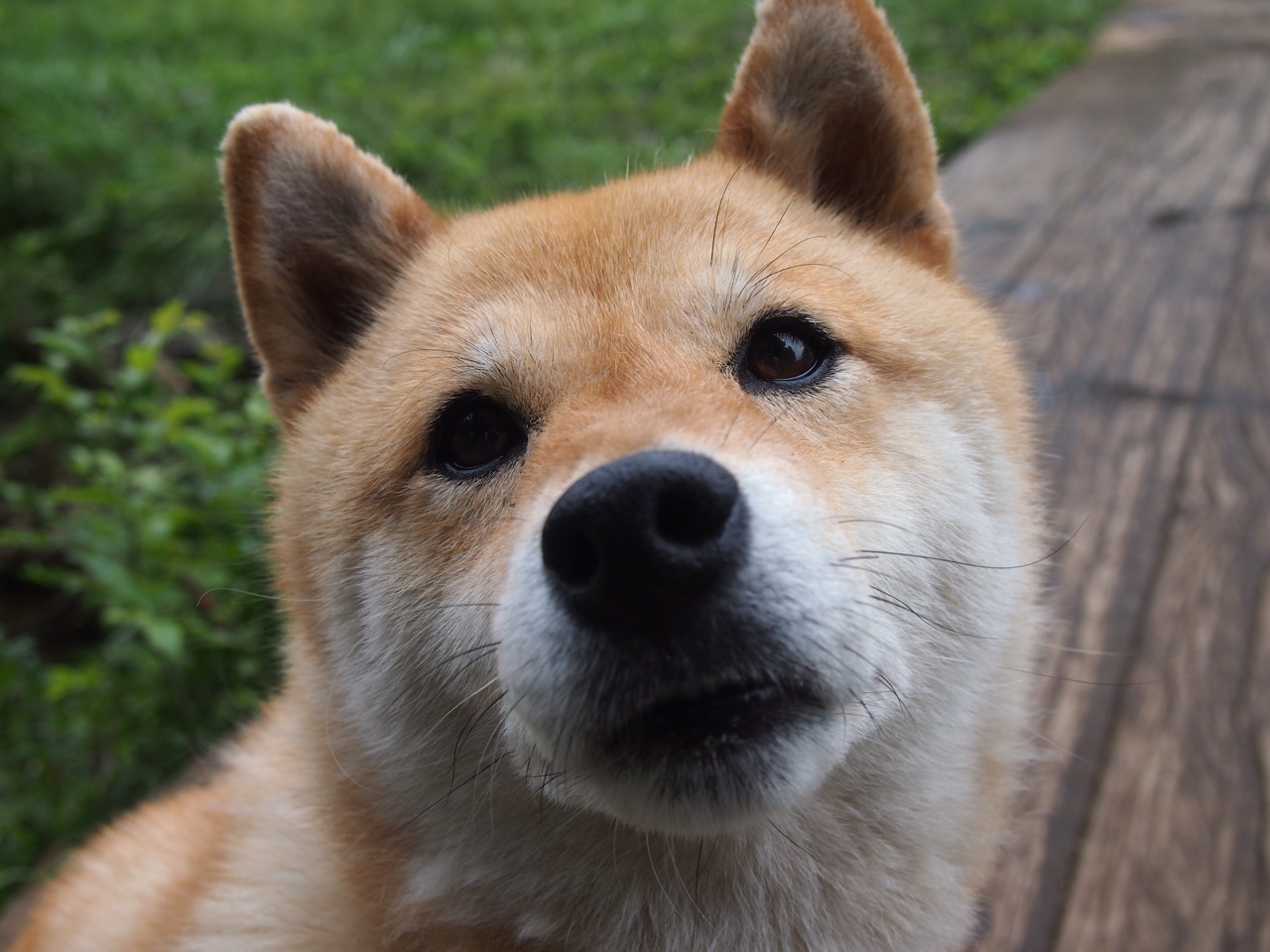 哥伦比亚烈焰焚红魔，阿拉巴神盾定江山—欧冠淘汰赛的巨星时刻