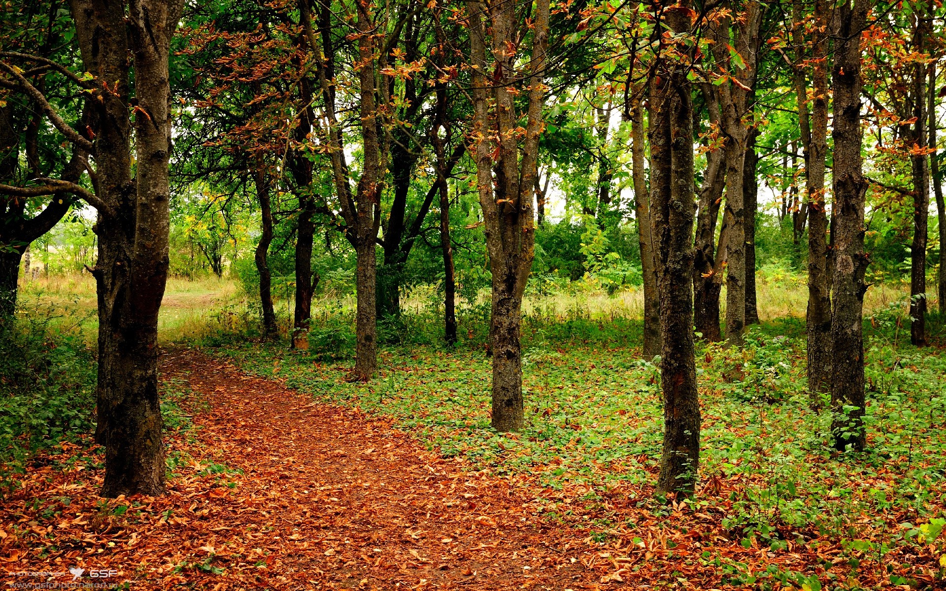 生死战萨内锋芒毕露,加拿大飞翼定乾坤,拜仁客胜AC米兰惊险晋级