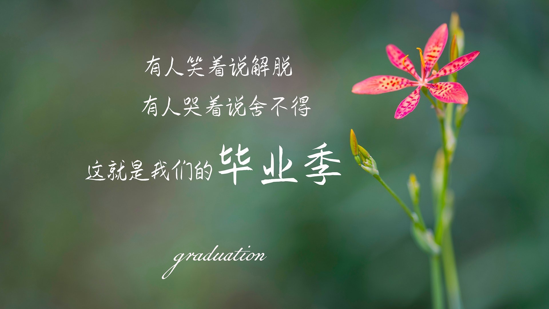 双城记，西甲国家德比与山西血拼骑士背后的体育对抗美学