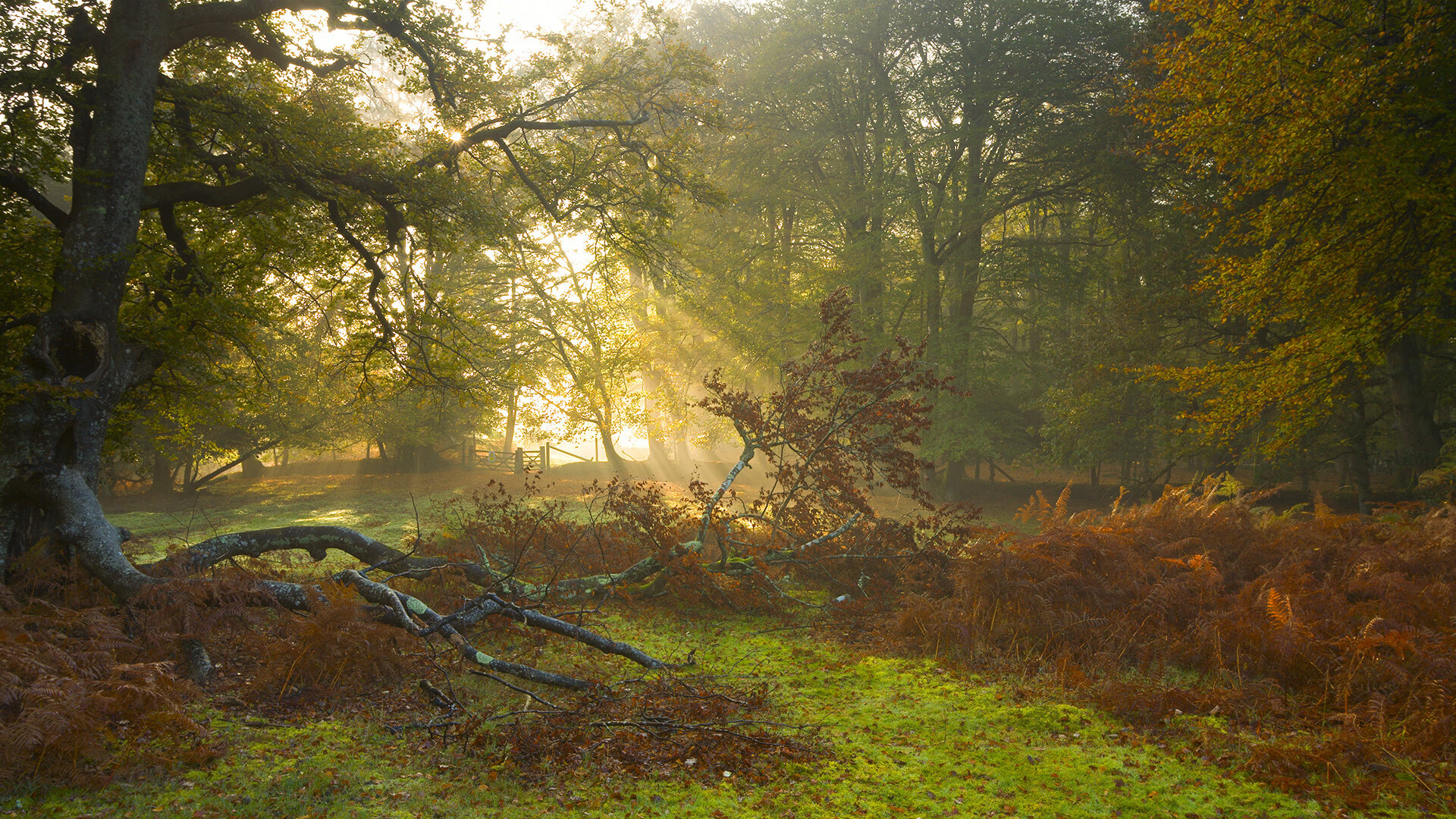 土超劲旅客场带走拉齐奥,巴雷拉关键先生定江山—欧洲足球的双重震撼