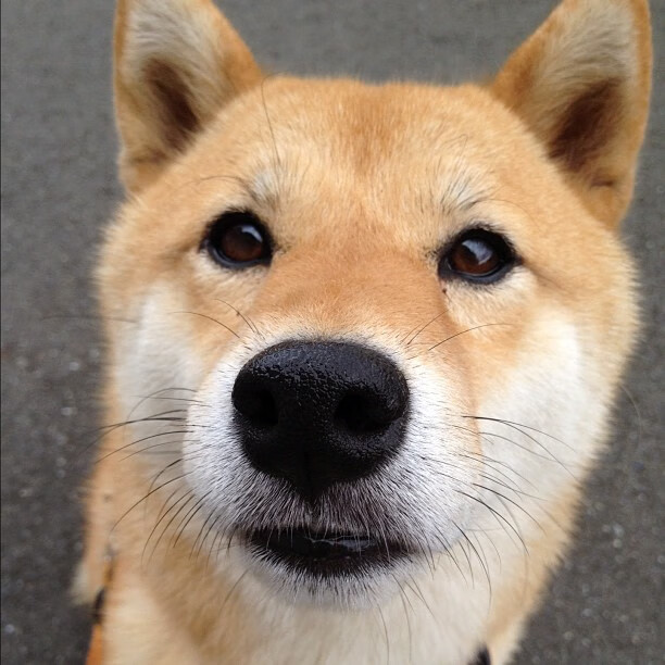 开云下载-绿茵交响诗，当德布劳内的手术刀，切开亚特兰大的铜墙铁壁