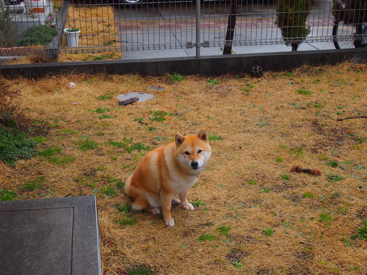 开云体育在线-撕裂之夜，英格拉姆一人击碎铁桶阵，红蓝军梦碎争冠路