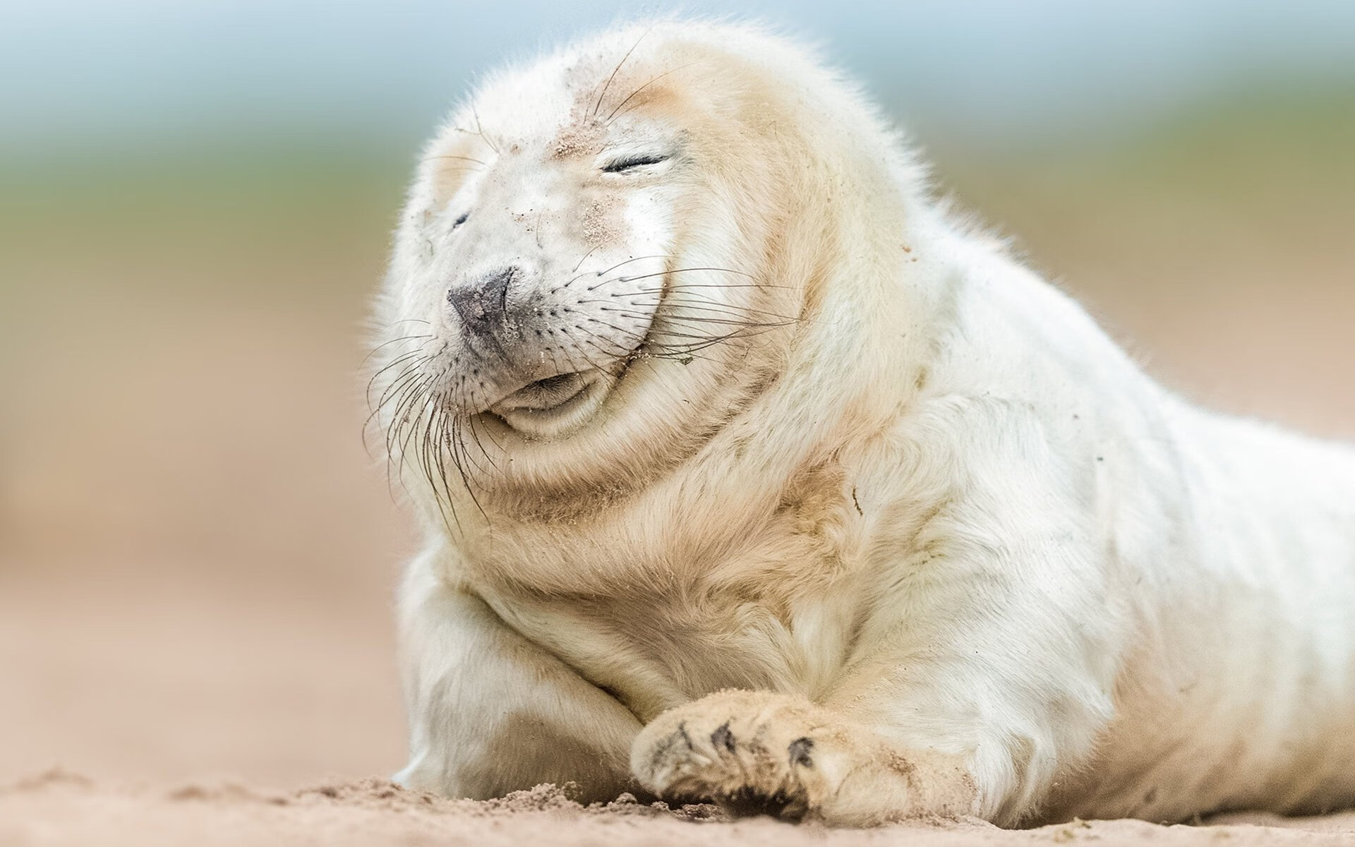 开云体育app-悬念终结者！卡瓦哈尔两次助攻，巴西右翼撕裂威尔士防线